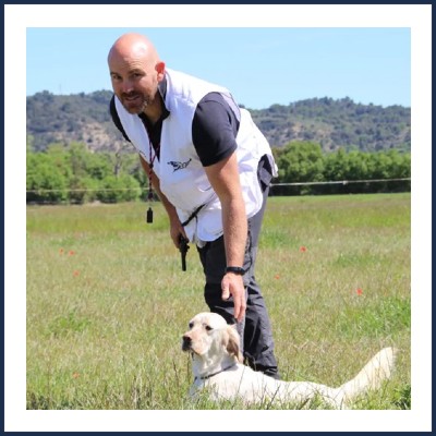 Des Remous du Verdon Dresseur & Pension