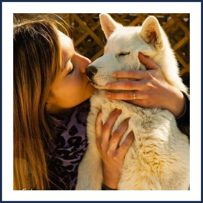 La Tribue d'Elendil en Provence