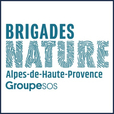 Brigades Nature 04