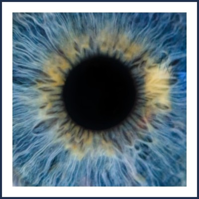 Marion Henry Naturopathe Iridologue