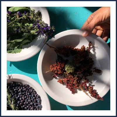 La Belle Verte Herboriste