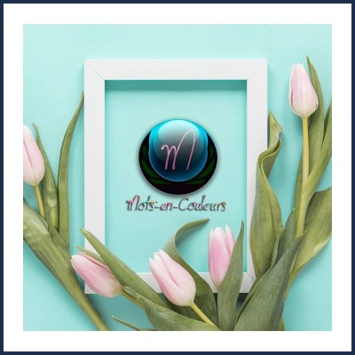 Mots en Couleurs Webdesigner