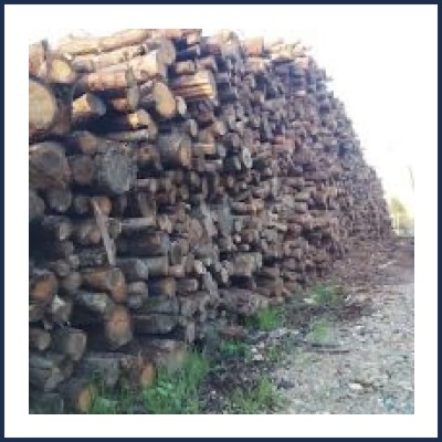 2t Bois de Chauffage