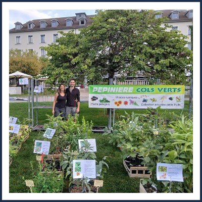 Cols Verts Pépinière
