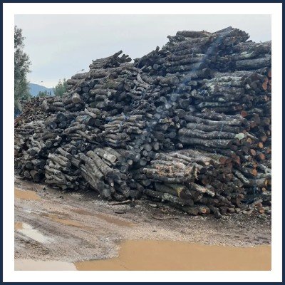 Scierie Entreprise Paglia