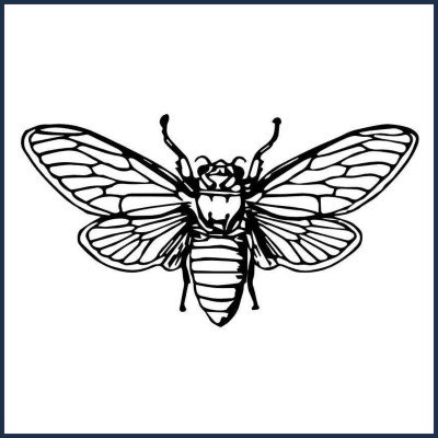 Les Cigales Anim des Mées 