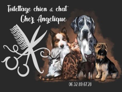 Toilettage Chez Angélique